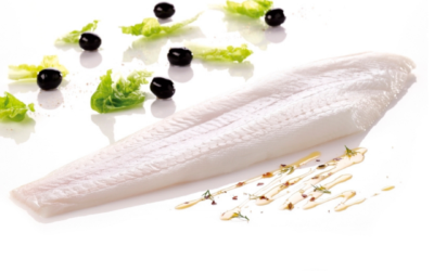Il tenero filetto di Halibut della Groenlandia